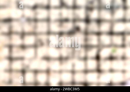 Abstract, Texture, Grid, Silhouette Blur background. Stock Photo
