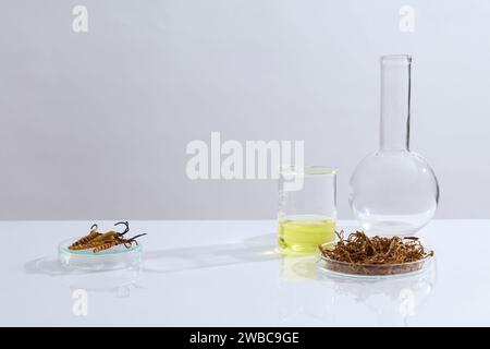 White background with blank space for display and advertising product with cordyceps ingredient. Some lab glassware containing Cordyceps sinensis and Stock Photo