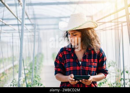 A confident woman farmer in a black shirt checks tomato leaves using her phone in a greenhouse Stock Photo