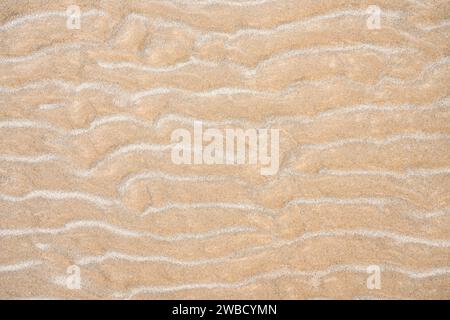 Fine golden sand with sand drift. Background from natural materials. Stock Photo