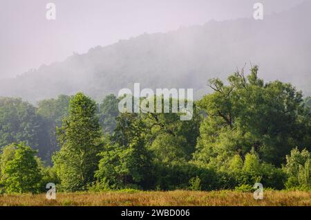 Forest Overlook at Sugar Grove, Pennsylvania, USA Stock Photo