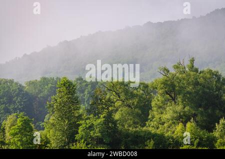 Forest Overlook at Sugar Grove, Pennsylvania, USA Stock Photo