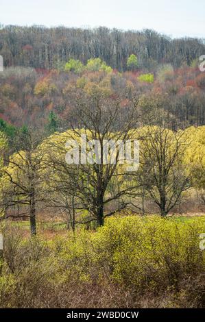 Forest Overlook at Sugar Grove, Pennsylvania, USA Stock Photo