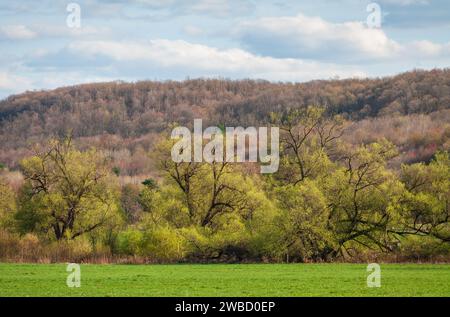 Forest Overlook at Sugar Grove, Pennsylvania, USA Stock Photo