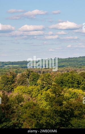 Forest Overlook at Sugar Grove, Pennsylvania, USA Stock Photo