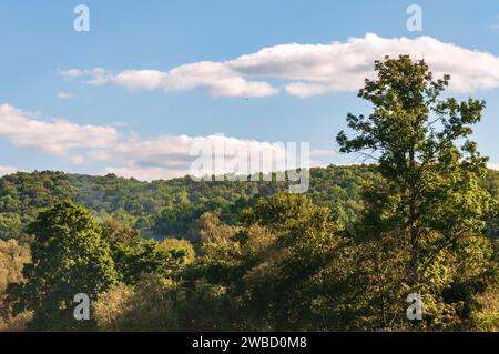 Forest Overlook at Sugar Grove, Pennsylvania, USA Stock Photo