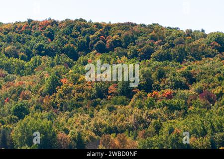 Forest Overlook at Sugar Grove, Pennsylvania, USA Stock Photo