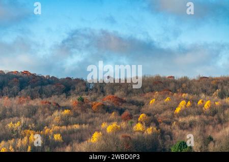 Forest Overlook at Sugar Grove, Pennsylvania, USA Stock Photo