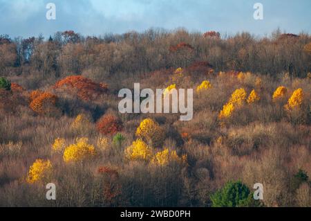 Forest Overlook at Sugar Grove, Pennsylvania, USA Stock Photo