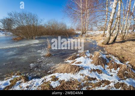 Snow and frozen water in a wild meadow with birches and bushes, winter sunny day, Zarzecze in eastern Poland Stock Photo