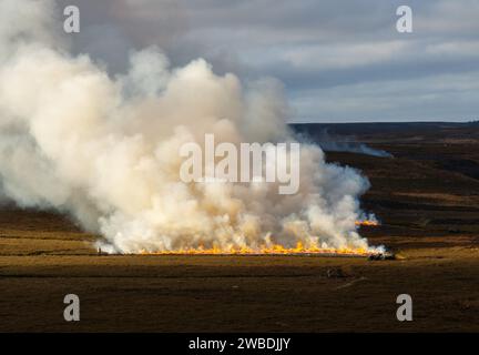 Heather Burning North York Moors UK Stock Photo