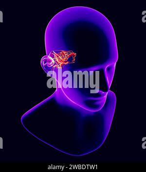 Hearing problems and solutions. Ultrasound. Deafness. Advancing age and hearing loss. Soundwave and equalizer bars with human ear. 3d rendering Stock Photo