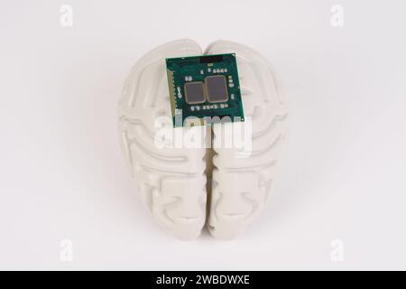 Human brain and computer chip. Microprocessor in the head, on a white background. Stock Photo