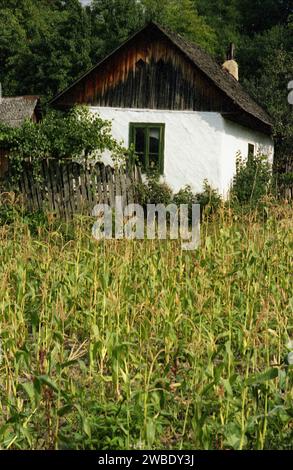 Vrancea County, Romania, approx. 1999. Rural property with an old traditional house surrounded by agricultural land. Stock Photo