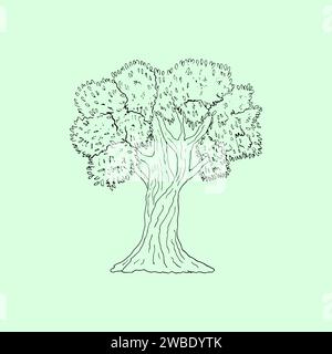 Olive tree hand engraving isolated illustration Stock Vector Image ...