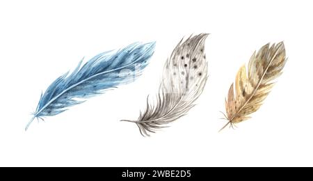 Set of watercolor realistic feathers. Detailed bird feathers in a realistic style. Illustration hand drawn on isolated background for greeting cards, Stock Photo