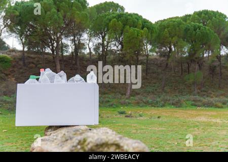 white cardboard box full of empty plastic bottles collected from the field for recycling, in the background a pine forest and a green grass meadow, Stock Photo