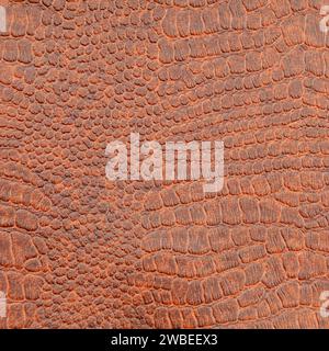 Background image - brown-red crocodile skin texture. Stock Photo