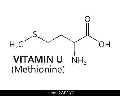 Vitamin U, or methylmethioninesulfonium chloride formula, derivative of methionine, consists of carbon, hydrogen, sulfur, and chlorine atoms arranged in a specific molecular structure, vector scheme Stock Vector