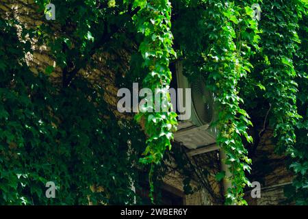 Outdoor air conditioner unit mounted on wall on metal brackets, surrounded by vine plant hanging from ceiling of house, copy space. Stock Photo
