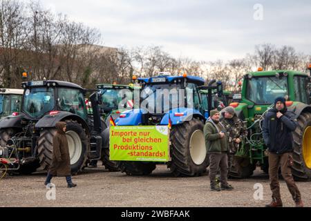 Bauernproteste in Ludwigshafen am Rhein: Große Kundgebung von Landwirten aus der Südpfalz und der Vorderpfalz an der Friedrich-Ebert-Halle Stock Photo