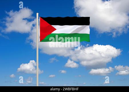 The flag of Palestine, disputed country in the Middle East, Studio ...