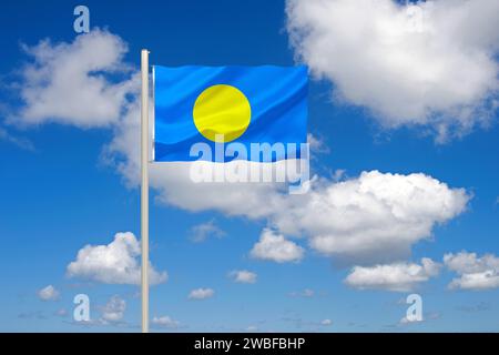 The flag of Palau, archipelago in Oceania, Studio Stock Photo