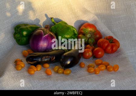 Horizontal still life of green bell peppers, eggplants, red and yellow tomatoes and cherry tomatoes on a white linen cloth in soft sunlight. Sardinian Stock Photo