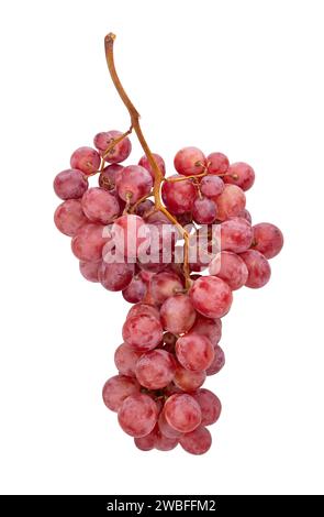 red grapes path isolated on white Stock Photo