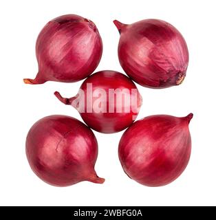 red onion path isolated on white Stock Photo