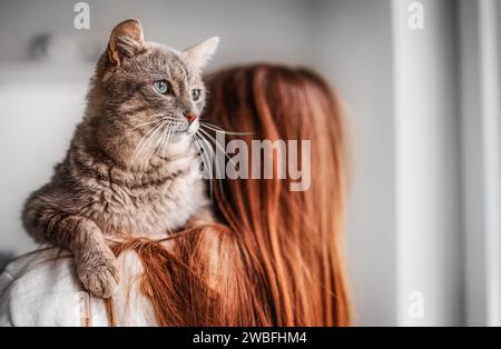 A cat in the arms of a red-haired girl. Stock Photo