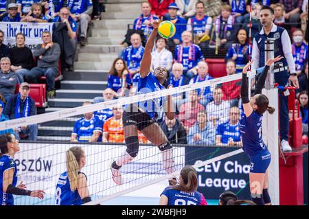 GER, Volleyball Champions League - Allianz MTV Stuttgart vs. BKS Bostik ...