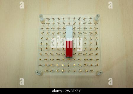 Demonstration of magnetic field lines in physics class Stock Photo