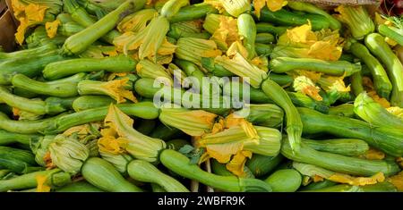 A selection of freshly picked vegetables in a variety of colors are for sale at a local market stand Stock Photo