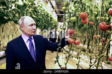Anadyr, Russia. 10th Jan, 2024. Russian President Vladimir Putin examines tomatoes growing in an all-seasons hydroponic greenhouse during a tour of the Makatrov family farm, January 10, 2024 in Anadyr, Chukotka Autonomous Okrug, Russia. The region is the easternmost area of Russia bordering the Bering Strait only 55-miles from Alaska. Credit: Gavriil Grigorov/Kremlin Pool/Alamy Live News Stock Photo
