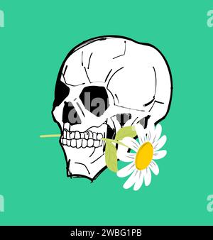 Skull with chamomile in teeth. Skeleton head and flower Stock Vector