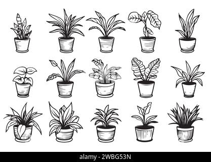 Set of Houseplants outline drawings. Indoor exotic flowers in pots line art. Dracaena, ficus, cacti, snake plant for home interior plans, design. Vect Stock Vector