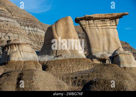 Sandstone pillars with rock caps, Willow Creek Hoodoos Drumheller Alberta Canada Stock Photo