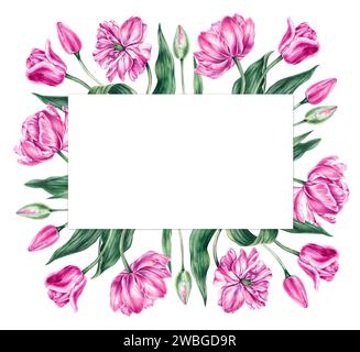 Watercolor pink tulip frame on a white background. Hand drawn tulips ...