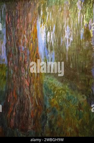 Water Lily Pond and Weeping Willow Tree in Wisley RHS Gardens Surrey ...