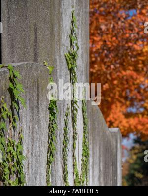 Hollywood Cemetery is a historic cemetery in Richmond, VA Stock Photo