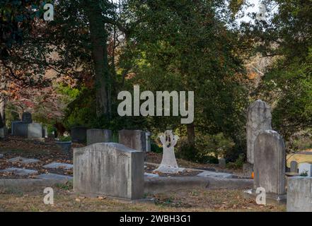 Hollywood Cemetery is a historic cemetery in Richmond, VA Stock Photo