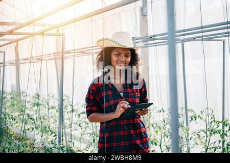 A confident woman farmer in a black shirt checks tomato leaves using her phone in a greenhouse Stock Photo