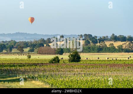 Vineyards, fields and hot air balloon in the Yarra Valley wine region, Victoria, Australia Stock Photo