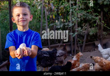 Close-up of little farmer boy showing fresh eggs laid by organically raised chickens in barn on rural farm. Stock Photo