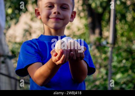 Close-up of little farmer boy showing fresh eggs laid by organically raised chickens in barn on rural farm. Stock Photo