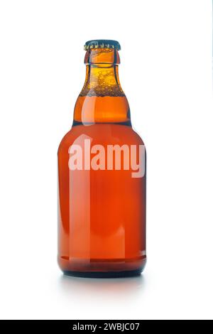 Bottle of beer isolated on the white background. Stock Photo