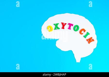 Paper human brain cutout with the word 'Oxytocin' creatively assembled using vibrant wooden letters. Mind hormones related concept. Stock Photo