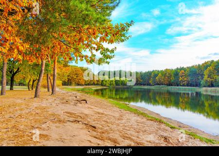 Peaceful pond surrounded by the warm hues of autumn in the heart of the autumn forest. Stock Photo