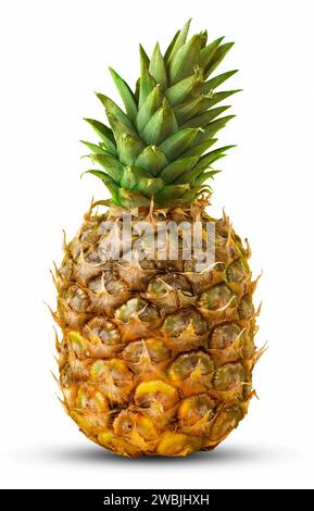 Whole pineapple fruit isolated on white. Tropical fruit. Stock Photo